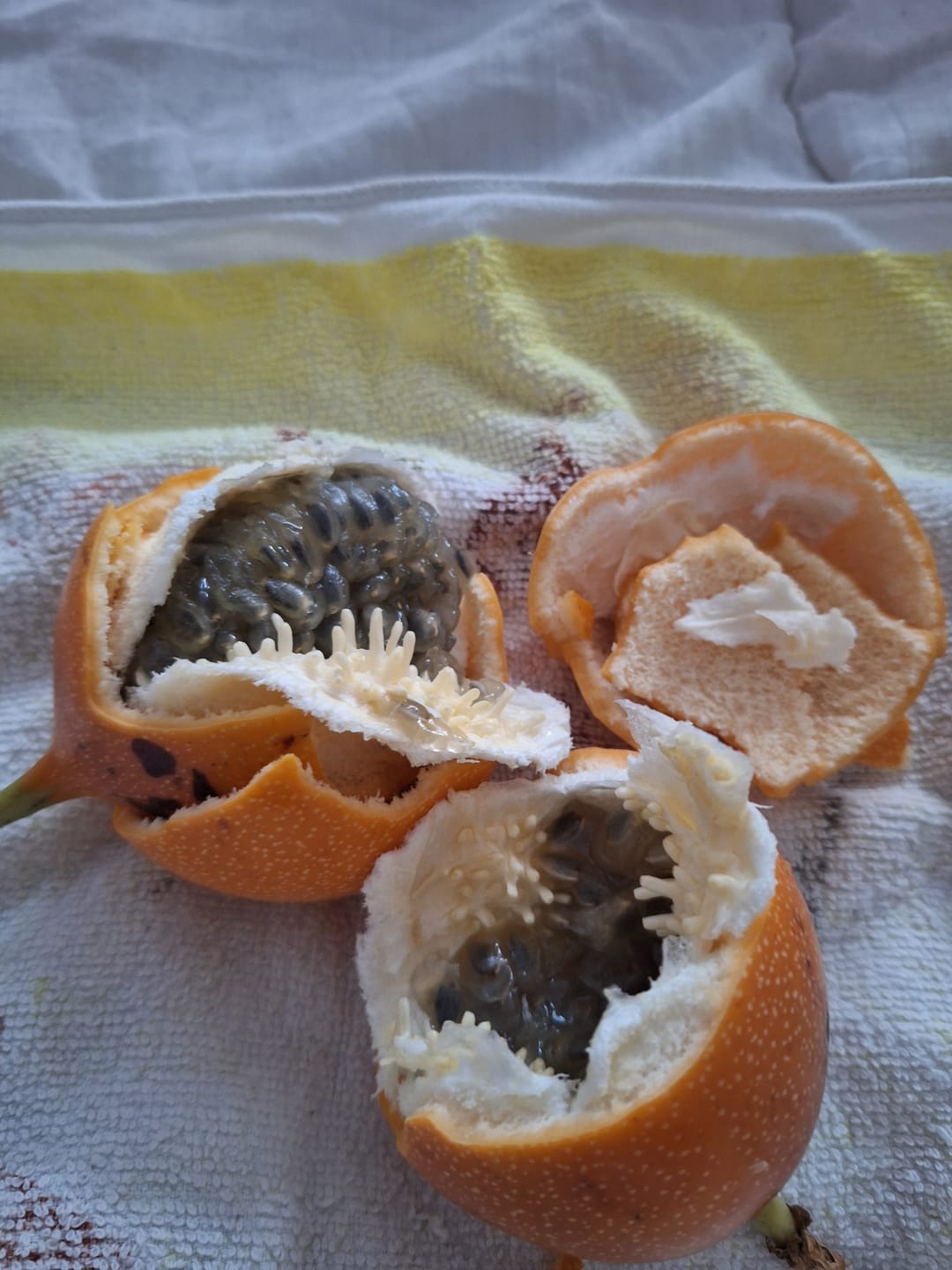 Customer photo review of Süße Granadilla Aktionspreis % 1,5kg
