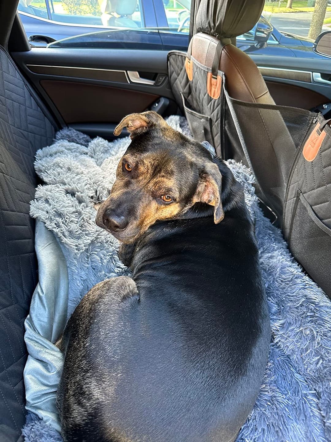 Customer photo review of MrBarks Dog Seat Cover
