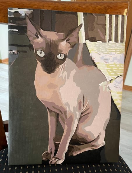 Customer photo review of Custom Paint By Numbers - Personalized Pet Portraits