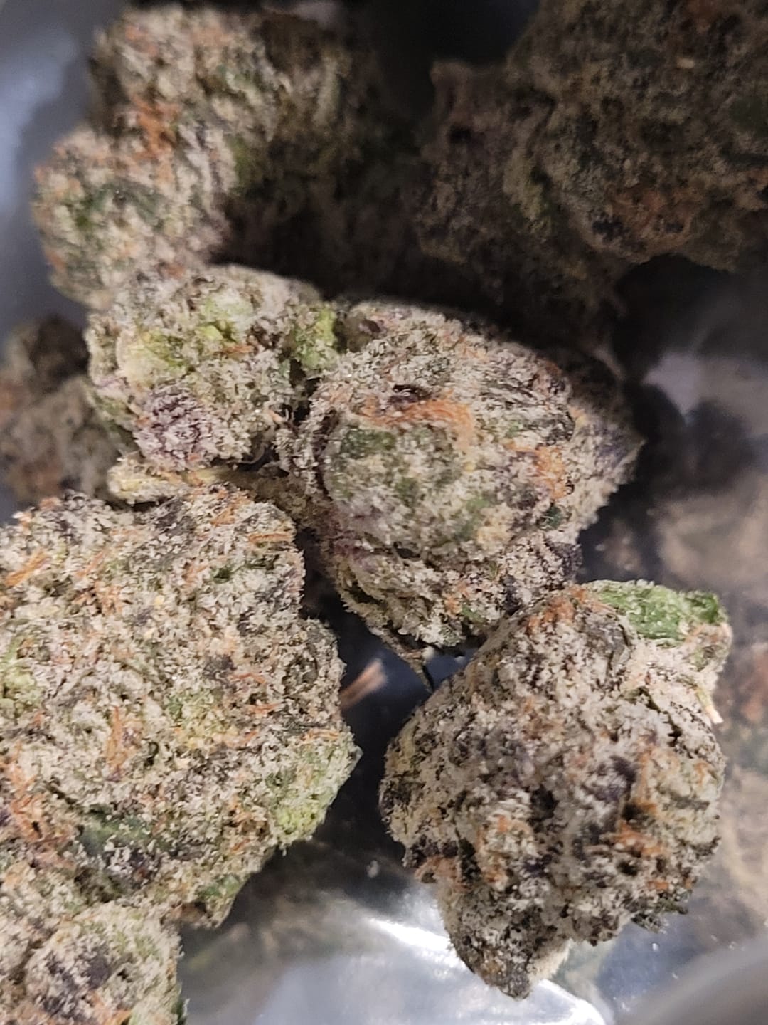 Customer photo review of Mochi