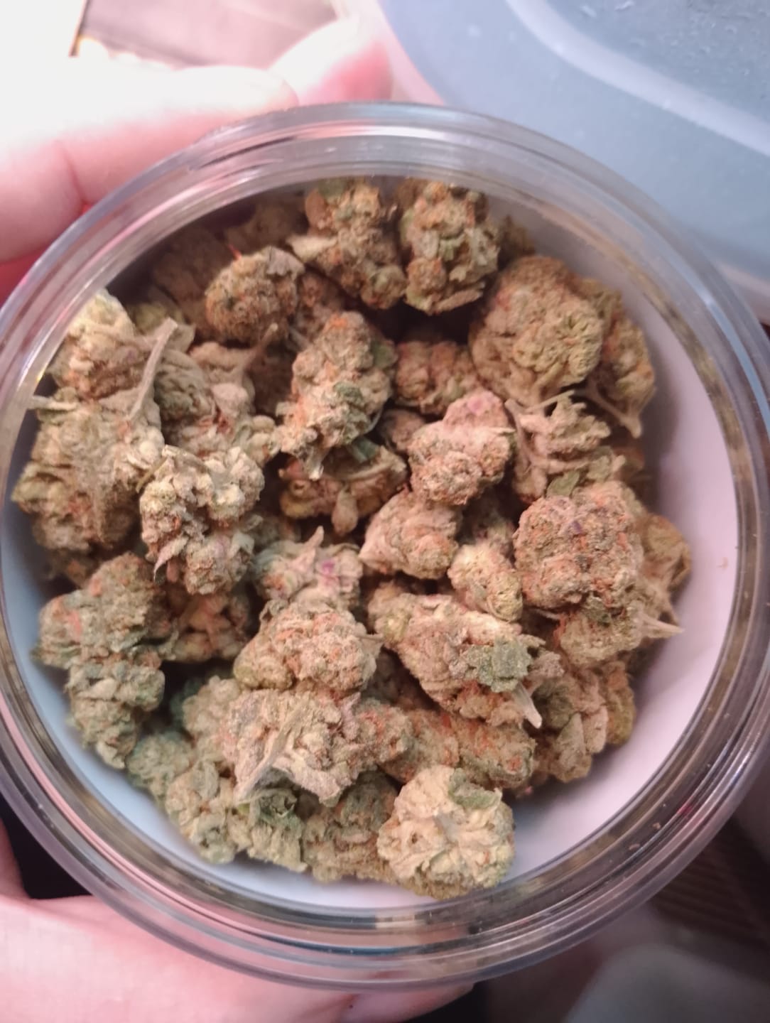 Customer photo review of Apple MAC Exotic THCA Mediums