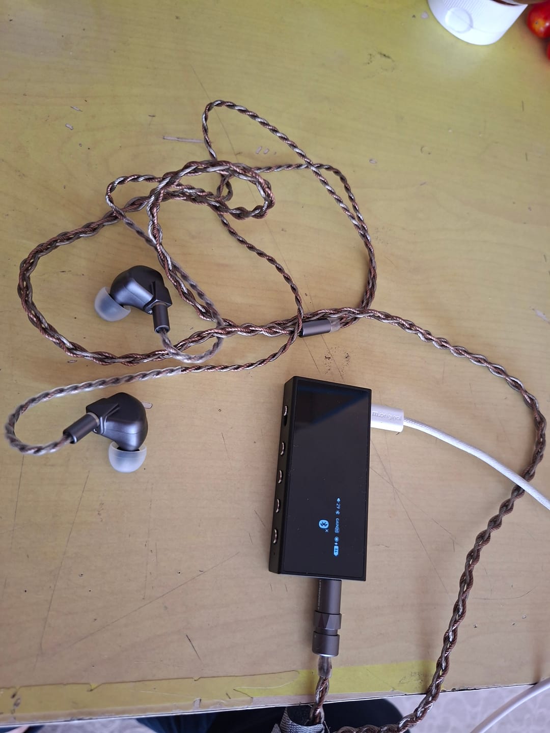 Customer photo review of LETSHUOER S12 Ultra IEM Kulaklık