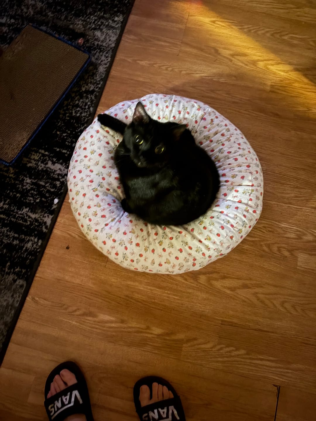 Customer photo review of Strawberry Jam Pudding Bed