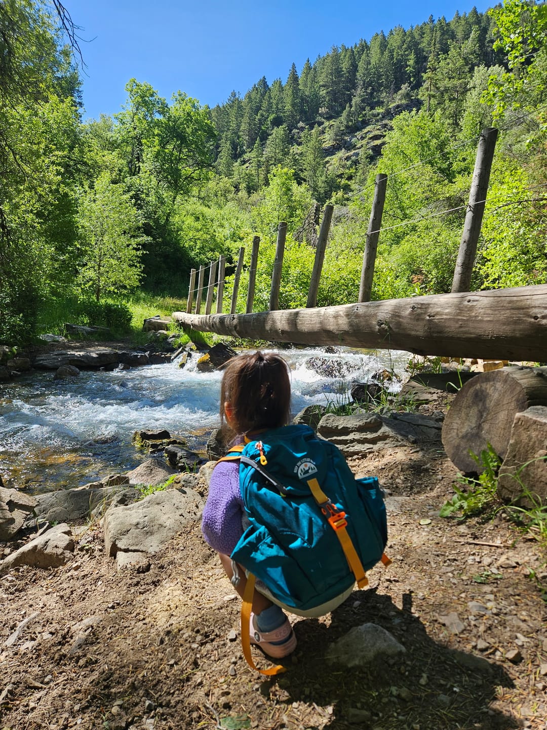 Customer photo review of "Little Explorer" Hiking Backpack | Hydration Ready | Ages 2-7