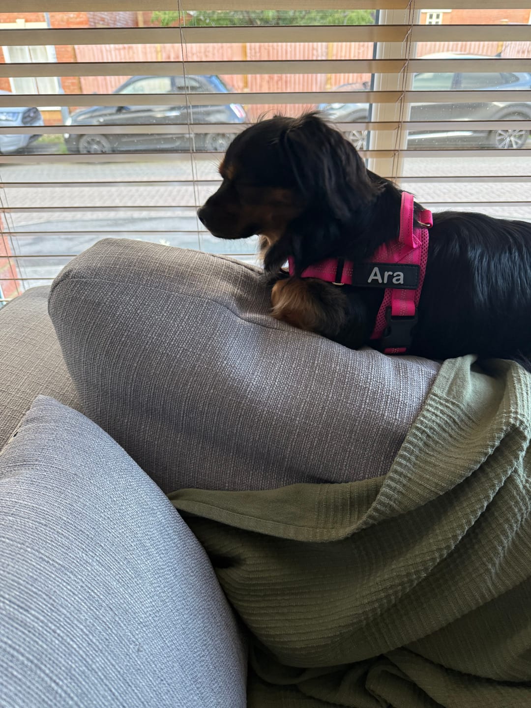 Customer photo review of Custom name patch