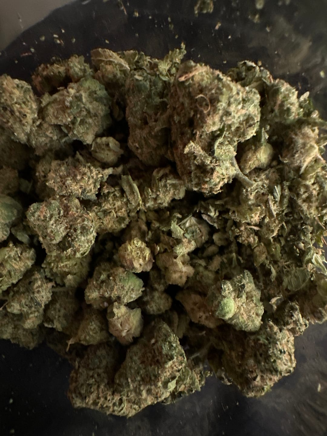 Customer photo review of Biscotti THCA Flower (Premium)