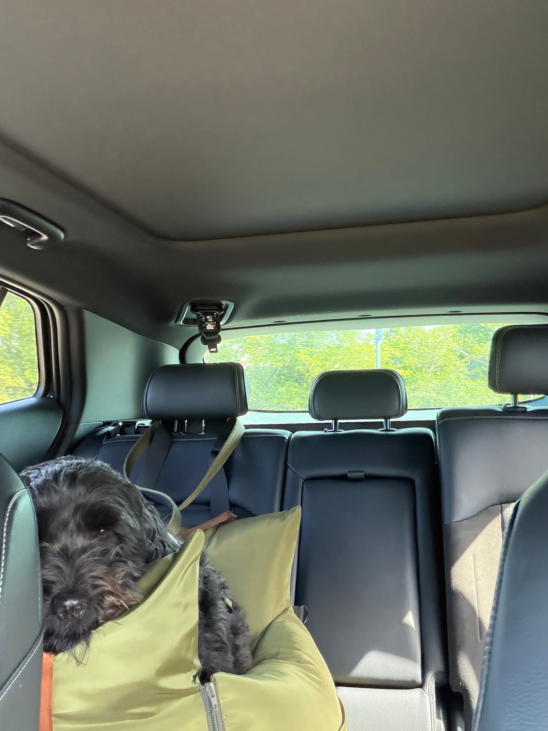Customer photo review of Travel Dog Pod - Now With IsoFix