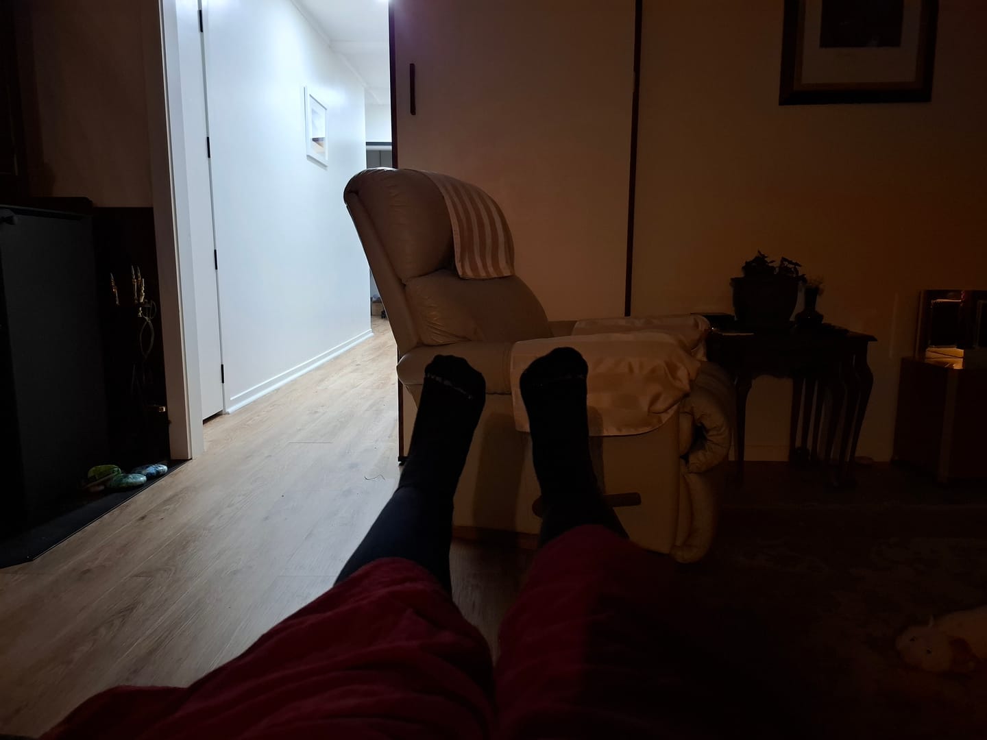 Customer photo review of Quarter Socks