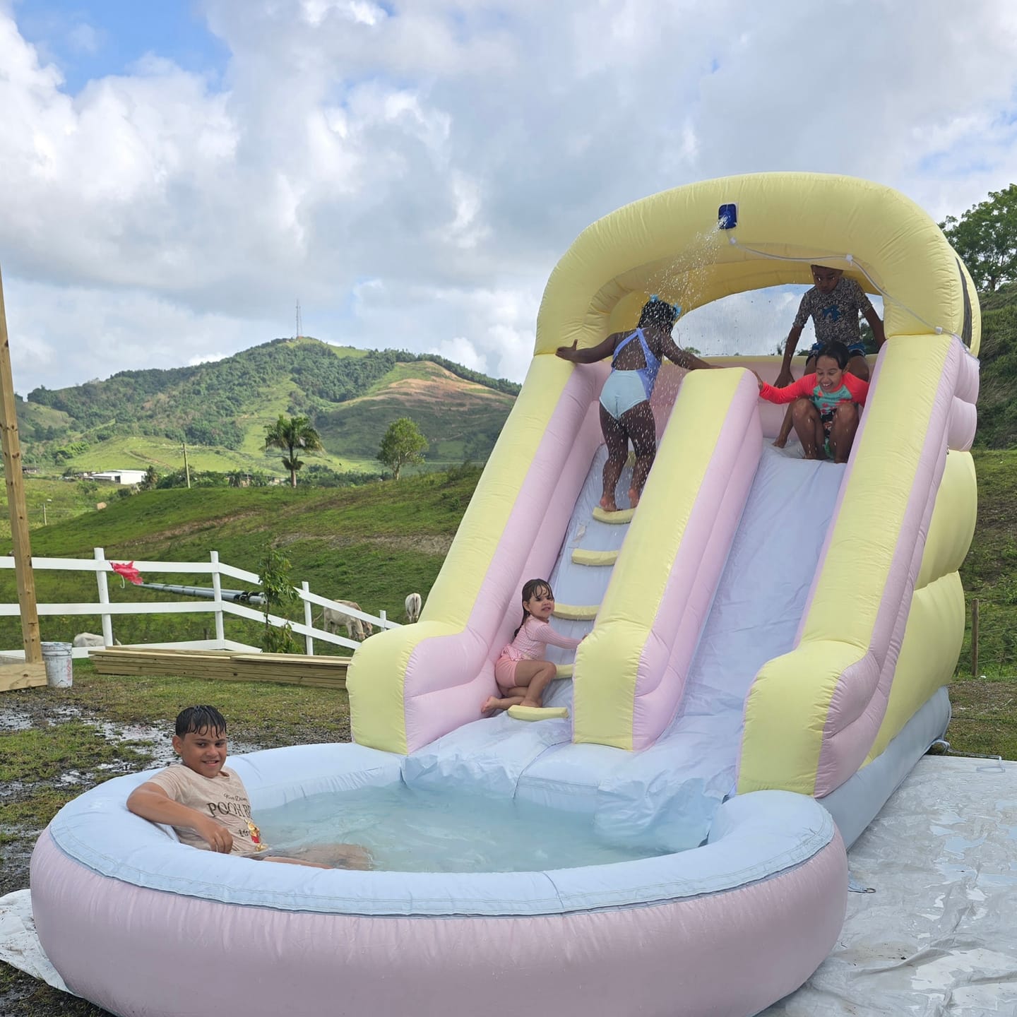 Customer photo review of Chorrera Elegante Pastel Splash