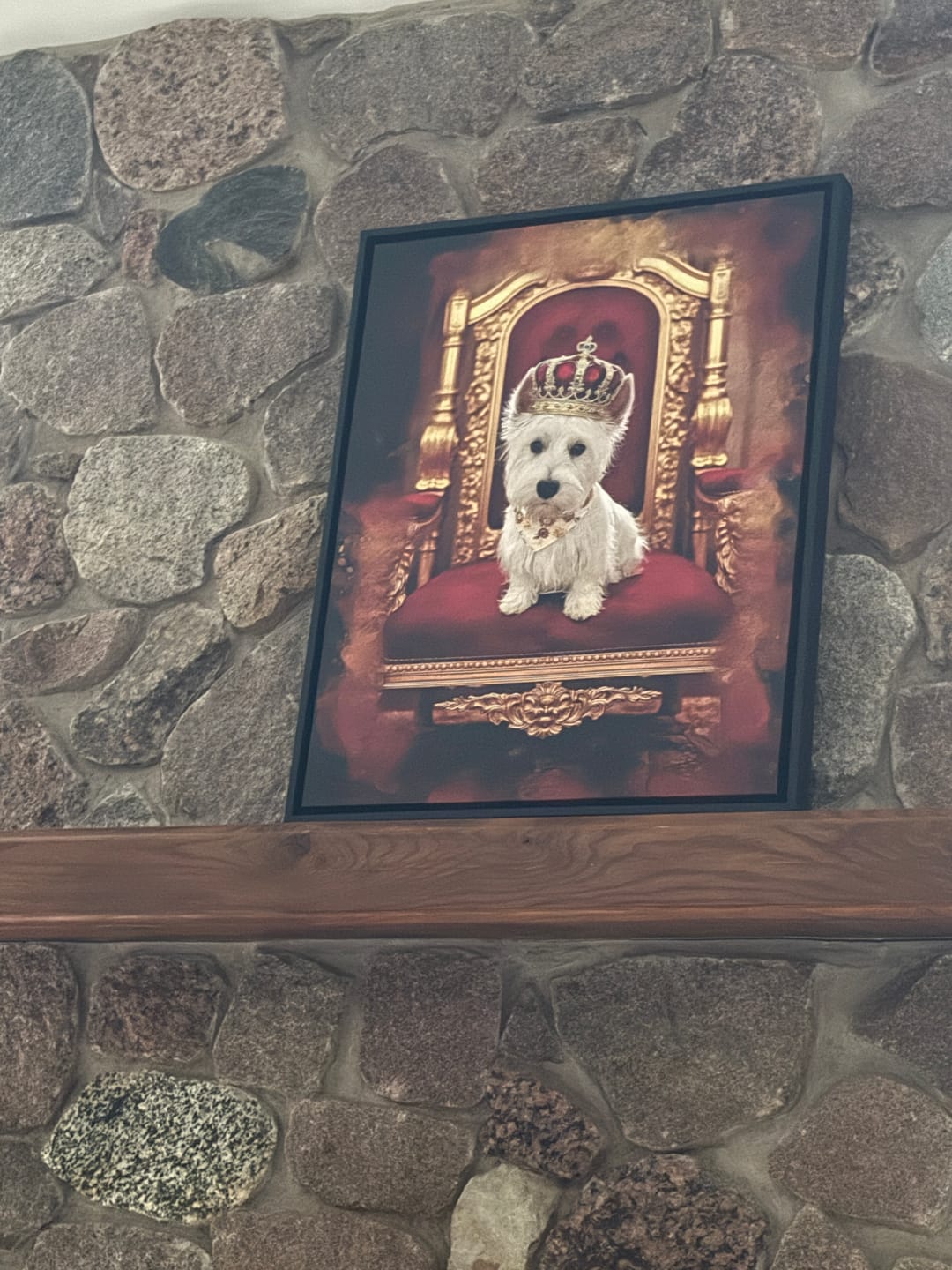 Customer photo review of Personalized Pet portrait