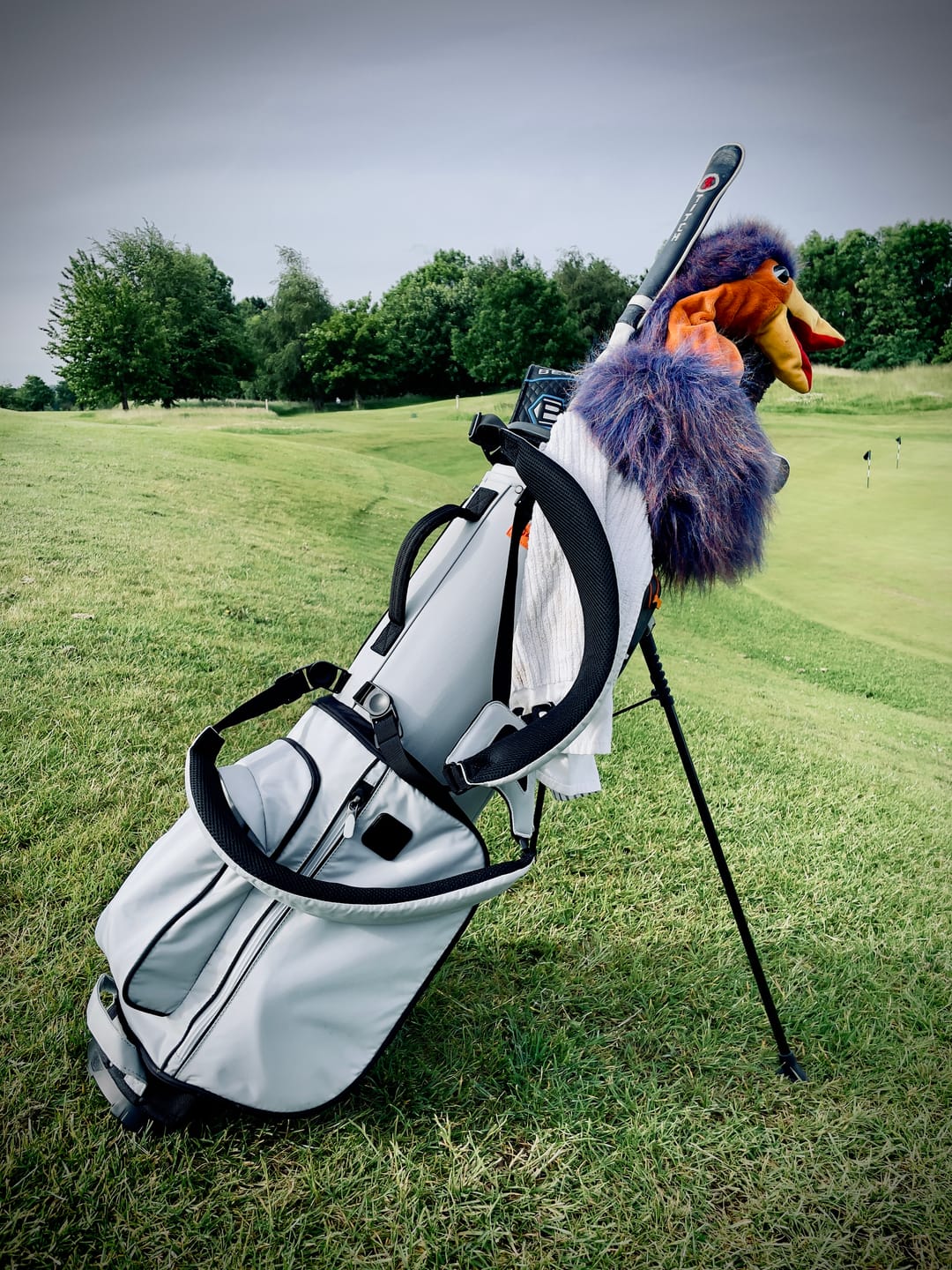 Customer photo review of SL2 Air Walker Golf Carry Bag