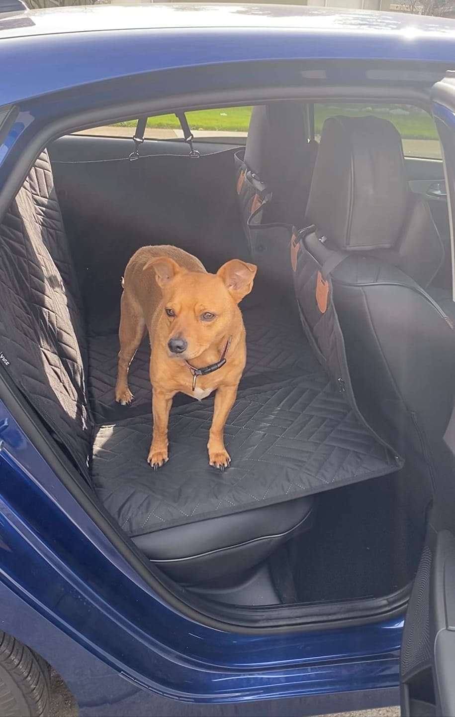 Customer photo review of MrBarks Dog Seat Cover