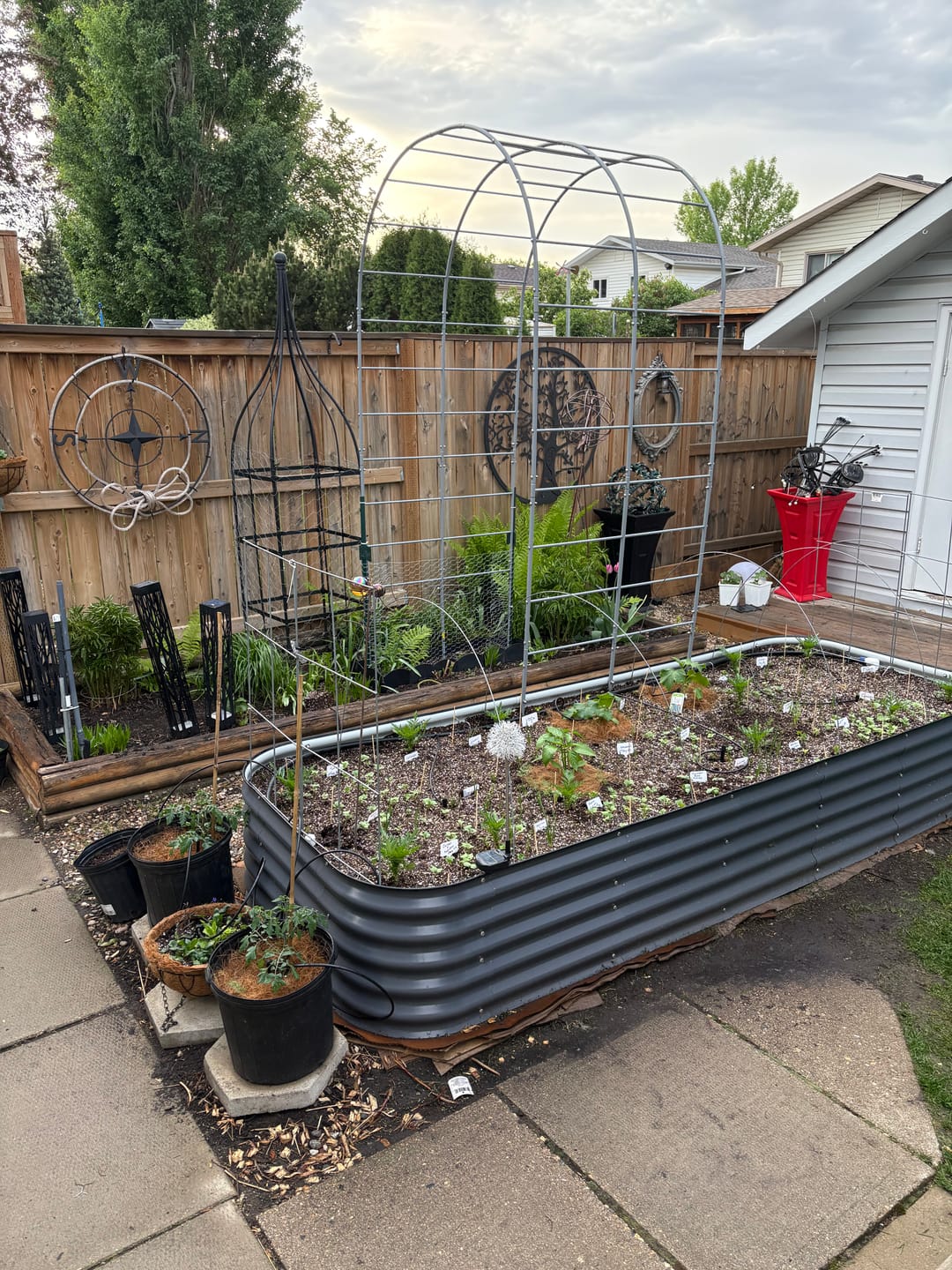 Customer photo review of Arch Garden Trellis
