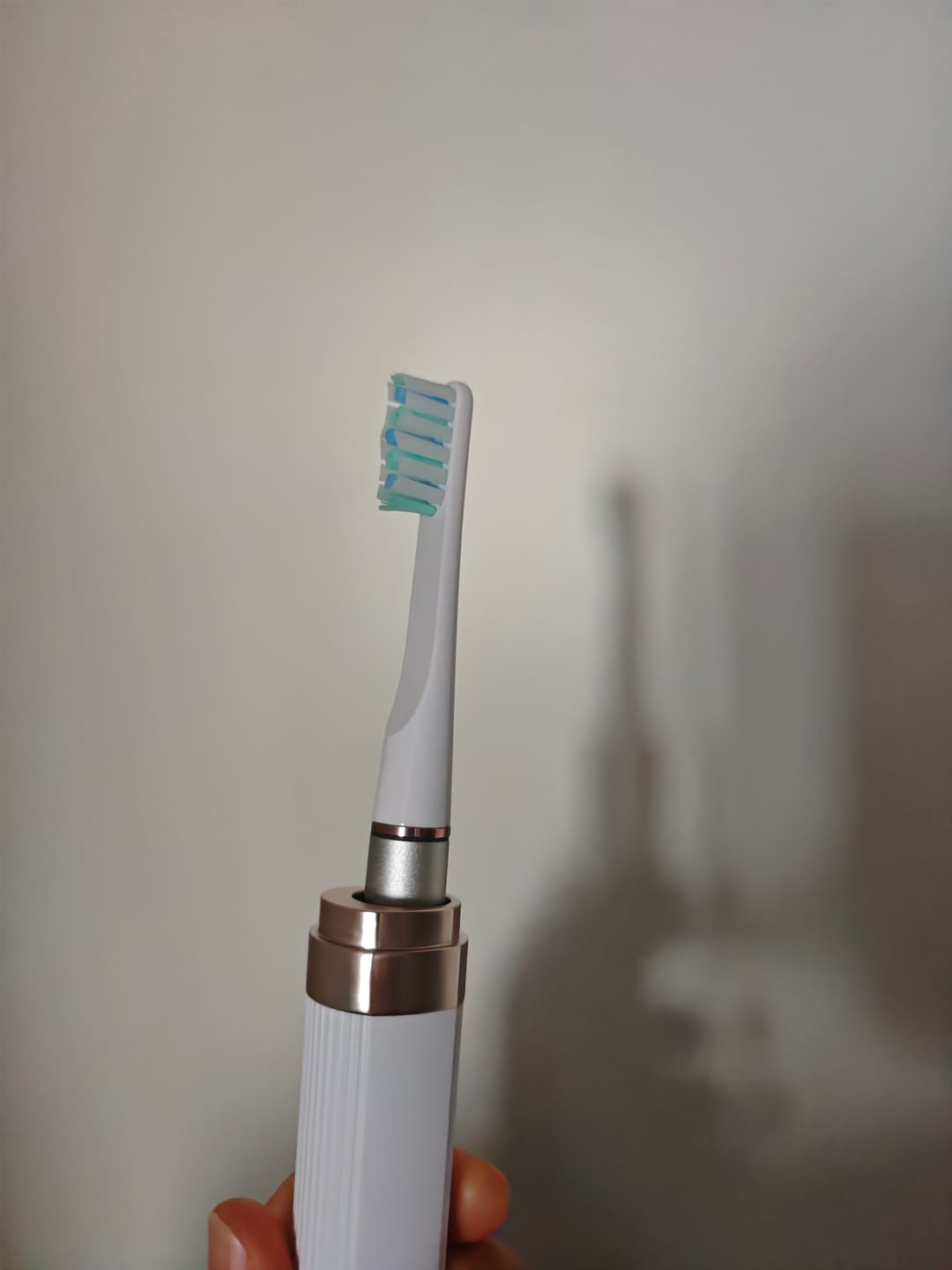 Customer photo review of Zeta Fresh z1