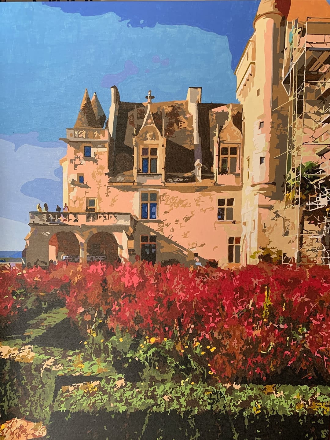 Customer photo review of Custom Paint By Numbers - Turn Trip Memory into Art