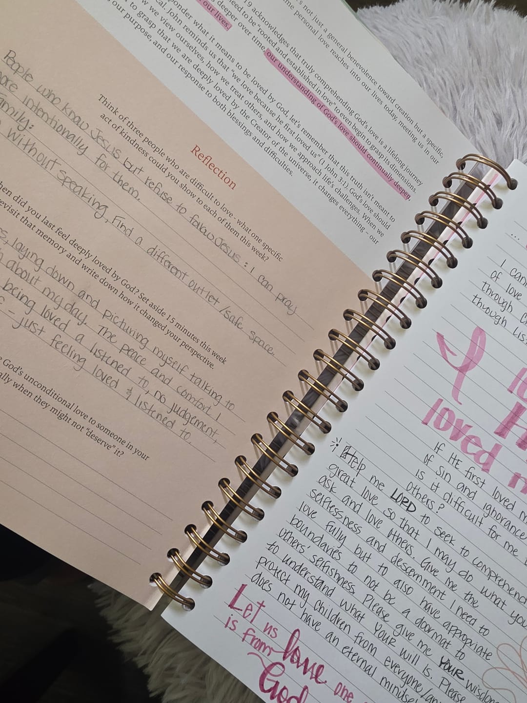 Customer photo review of The Bible In A Year: A 52-Week Journey Through God's Word