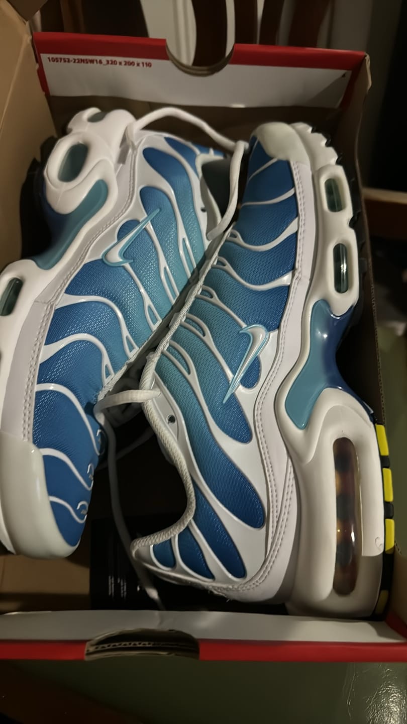 Customer photo review of Nike Air Max Plus TN 'Battle Blue'