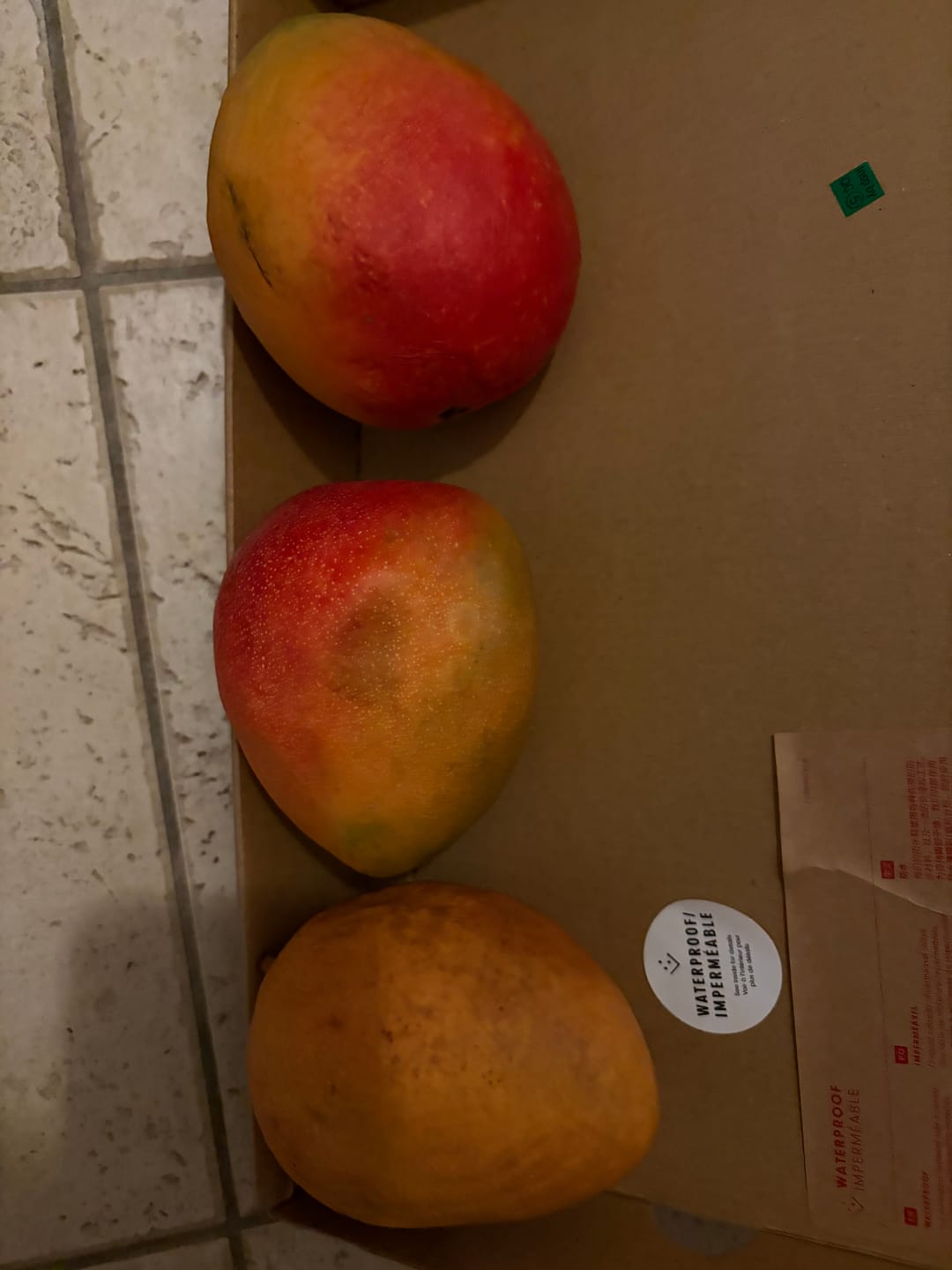 Customer photo review of Mango Kent Premium baumgereift