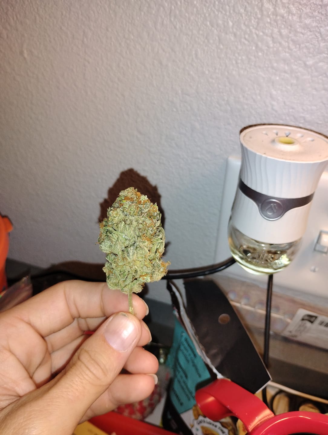 Customer photo review of Gelato Mintz - Minis - 28 Grams - Hybrid