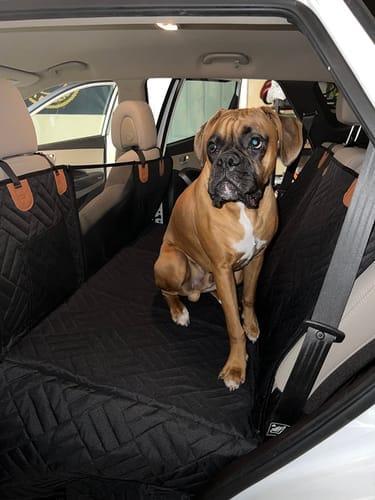 Customer photo review of MrBarks Dog Seat Cover