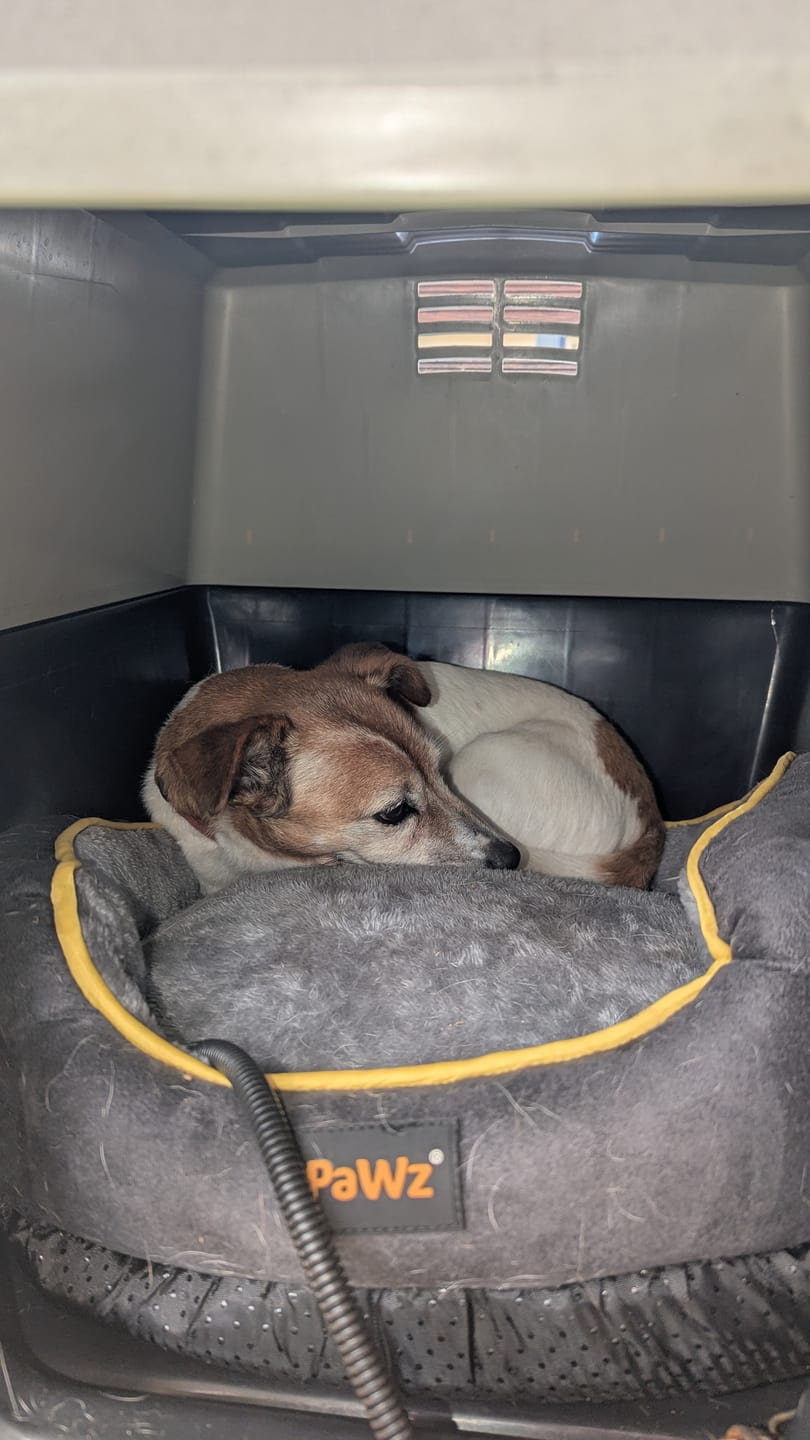 Customer photo review of Electric Pet Heater Bed Thermal Protection