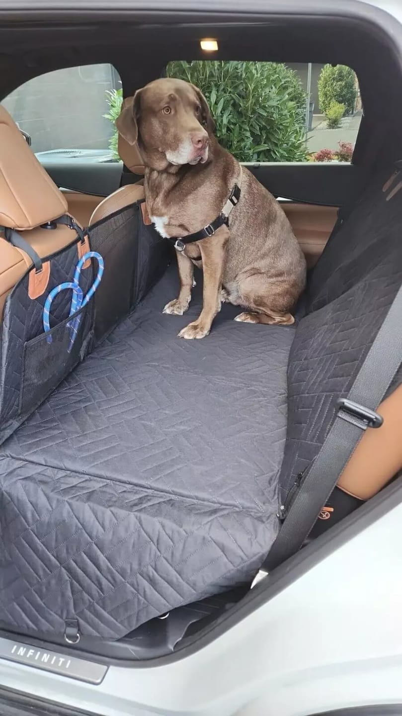 Customer photo review of MrBarks Dog Seat Cover