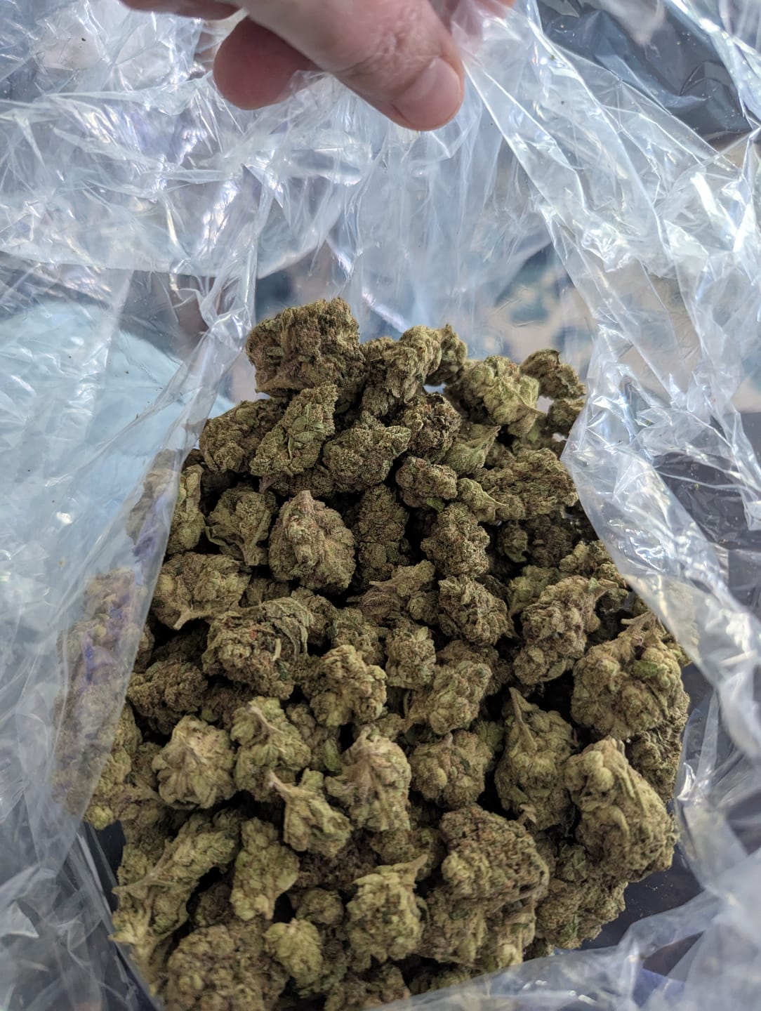 Customer photo review of Gelato 41 - 28 Grams - Hybrid