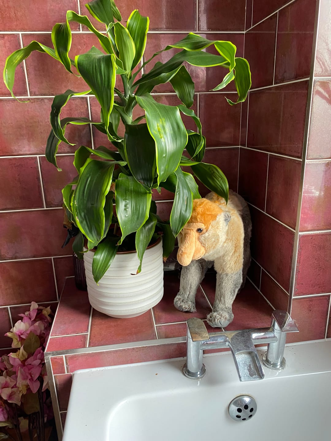 Customer photo review of Proboscis Long-Nosed Monkey Soft Stuffed Plush Toy