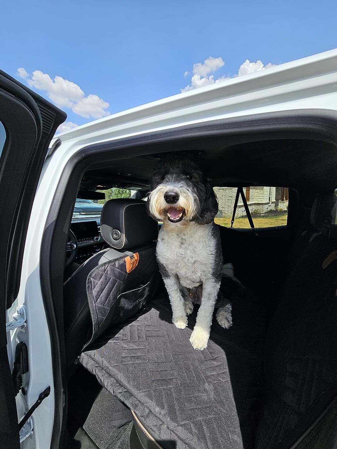 Customer photo review of MrBarks Dog Seat Cover
