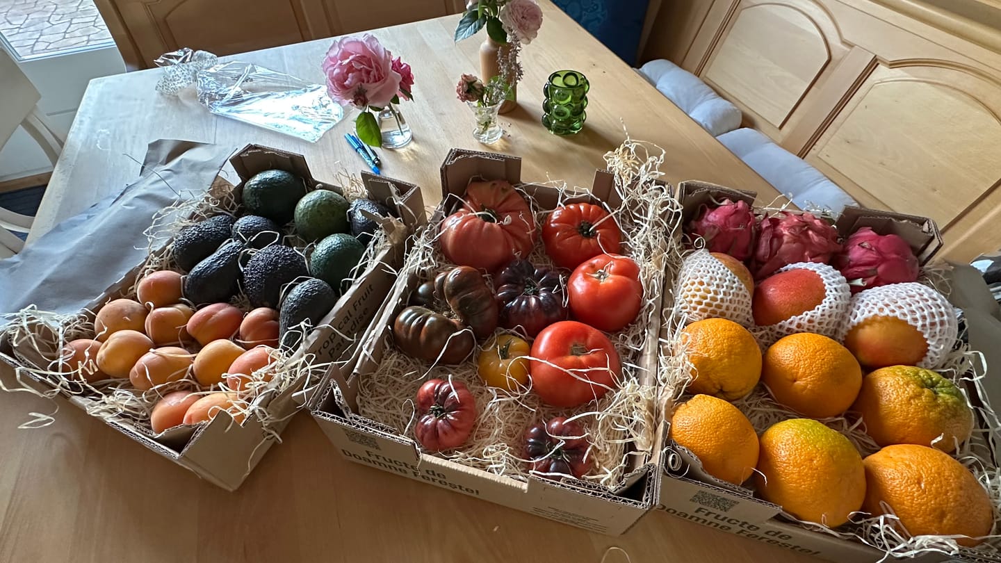 Customer photo review of Tomaten Mix Bio "Alte Sorten"