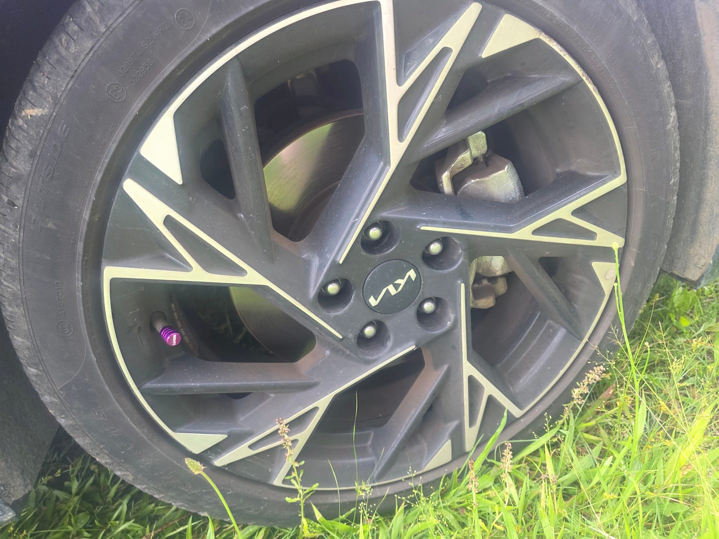 Customer photo review of 80Eighty® Purple Valve Stem Caps