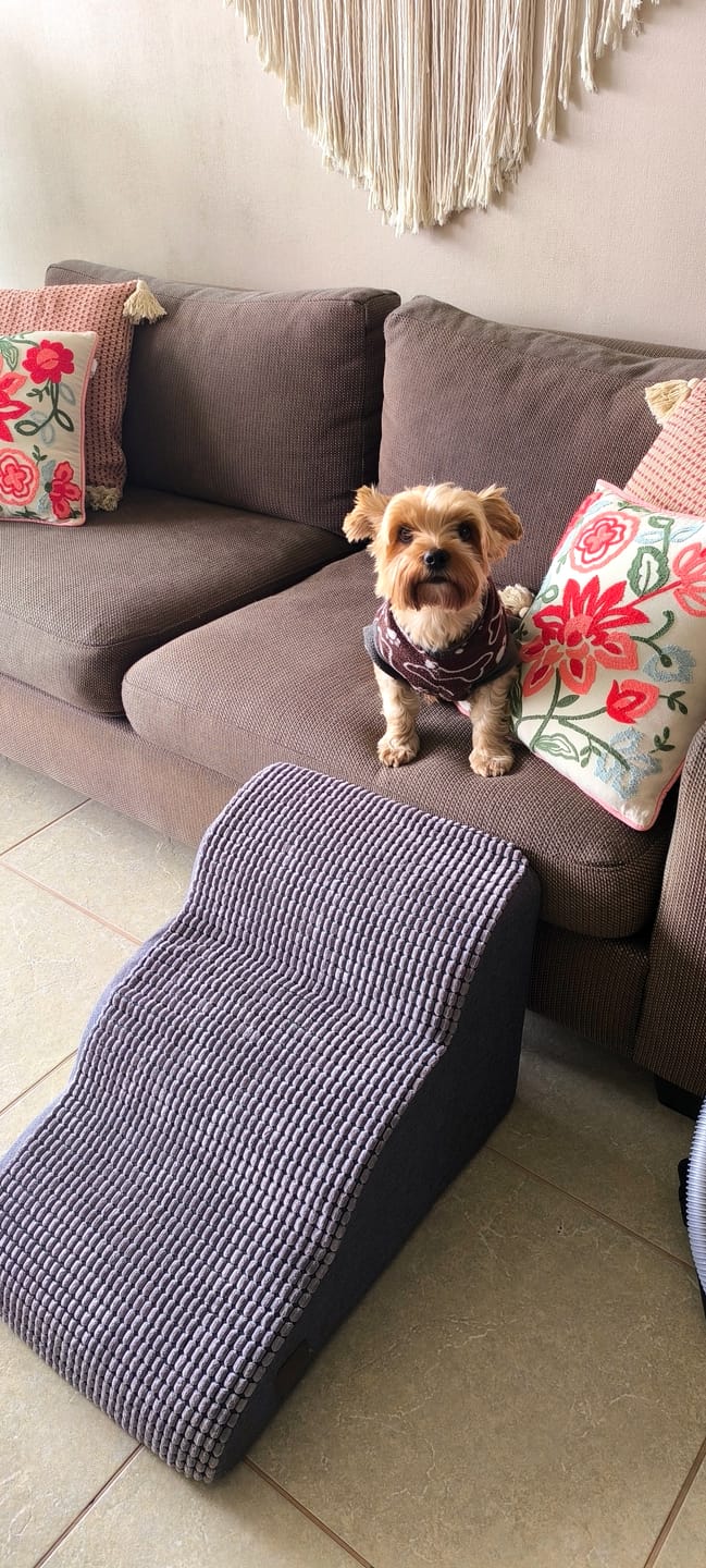 Customer photo review of Rampa Pendiente Suave THE DOGS