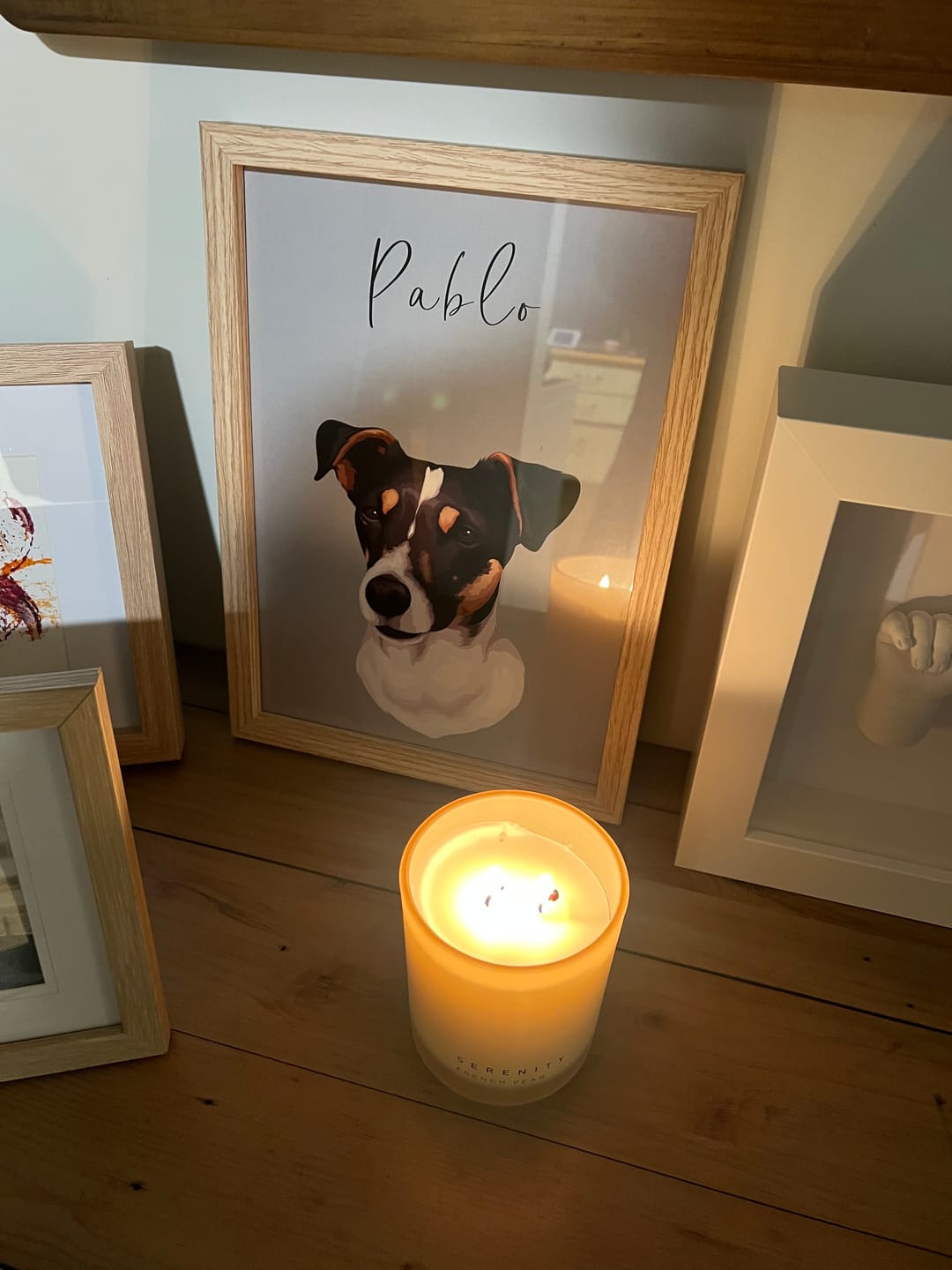 Customer photo review of Pet Portrait