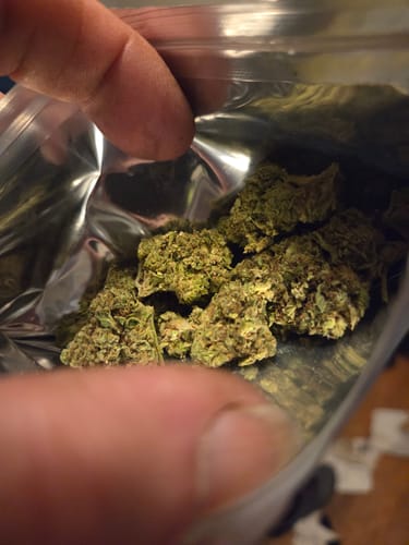 Customer photo review of Frog Berry THCA Flower