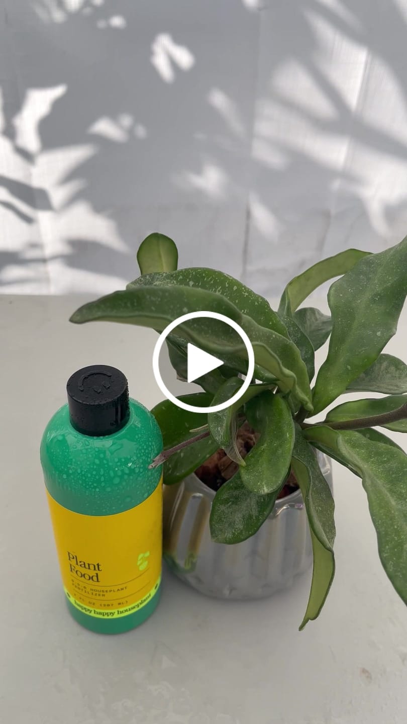 Customer video review of Plant Food