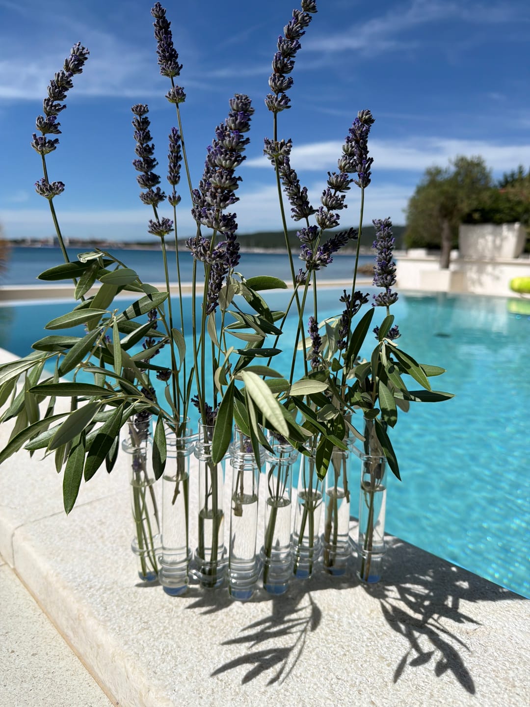 Customer photo review of Flower Flute – Glass Vases Collection