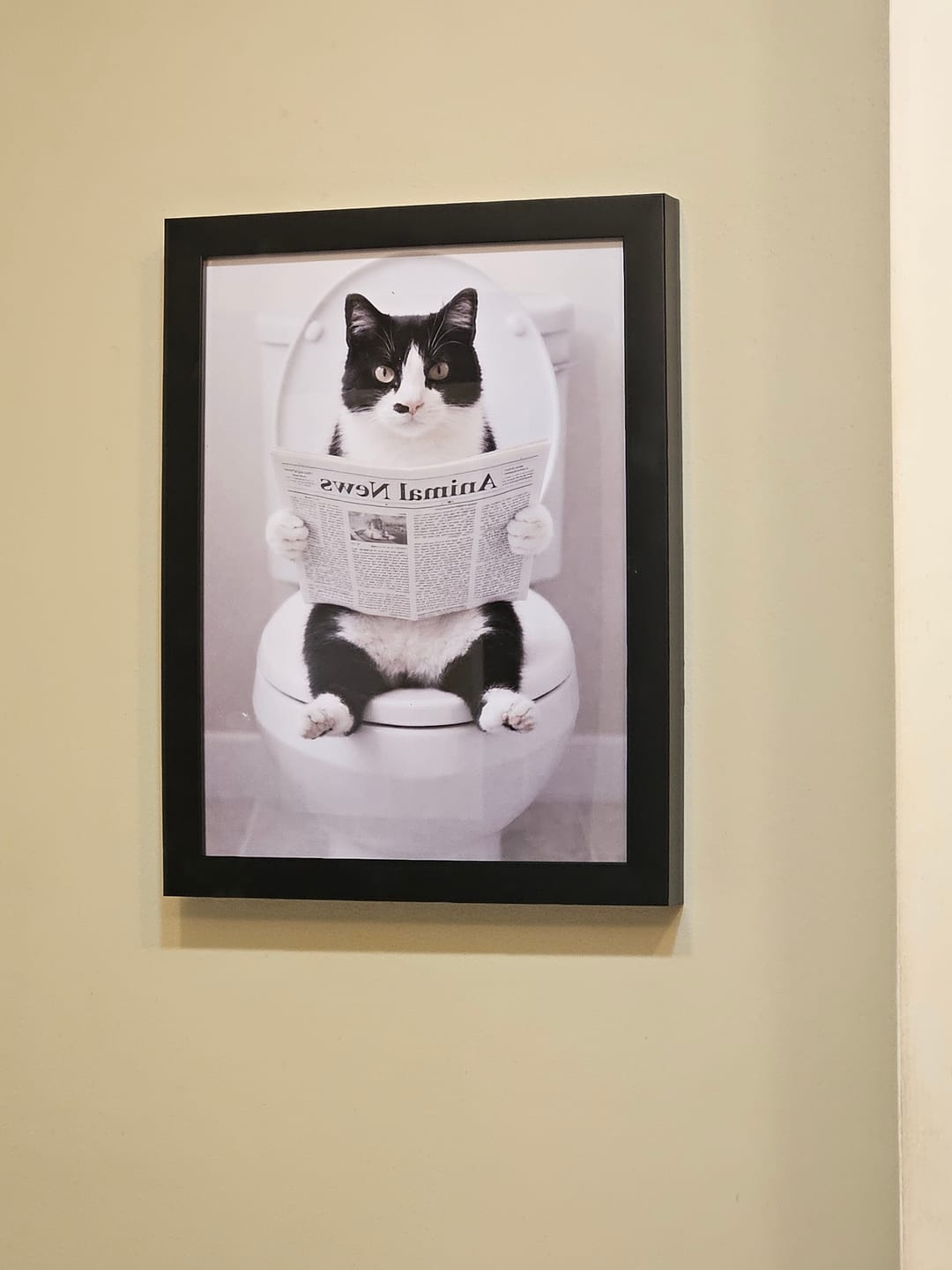 Customer photo review of Bathroom - Personalized Poster