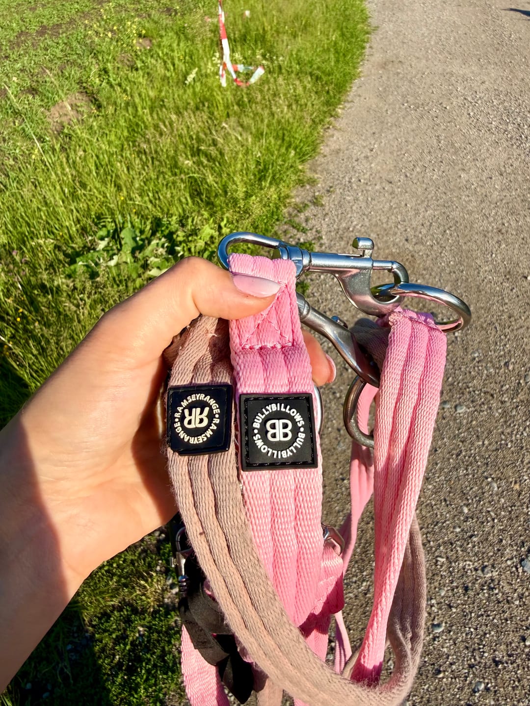 Customer photo review of Training Double Ended Dog Lead | 2m Length -  Pink