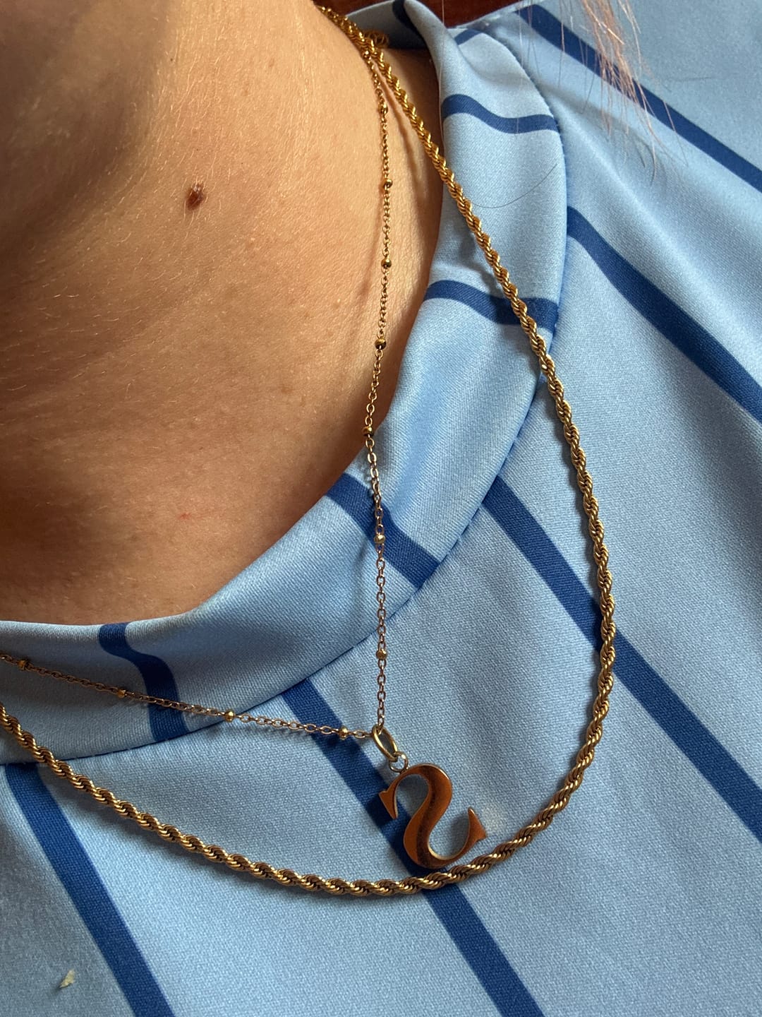 Customer photo review of Rope Necklace In Gold