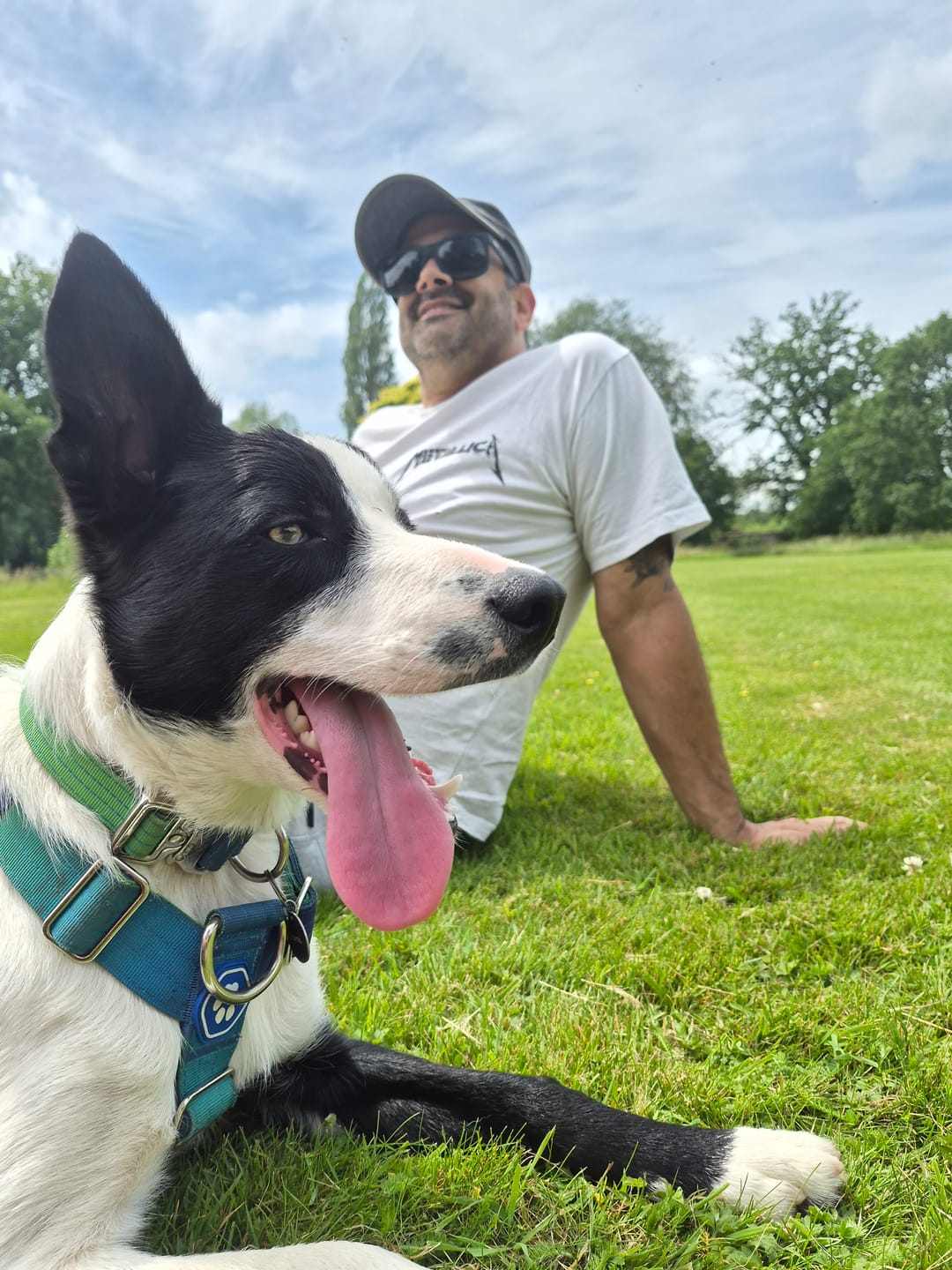 Customer photo review of Comfort Control Collar - Lime Wave