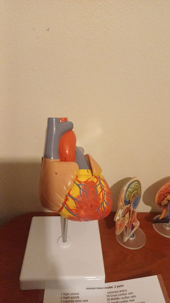 Customer photo review of Corazón desarmable 2 partes