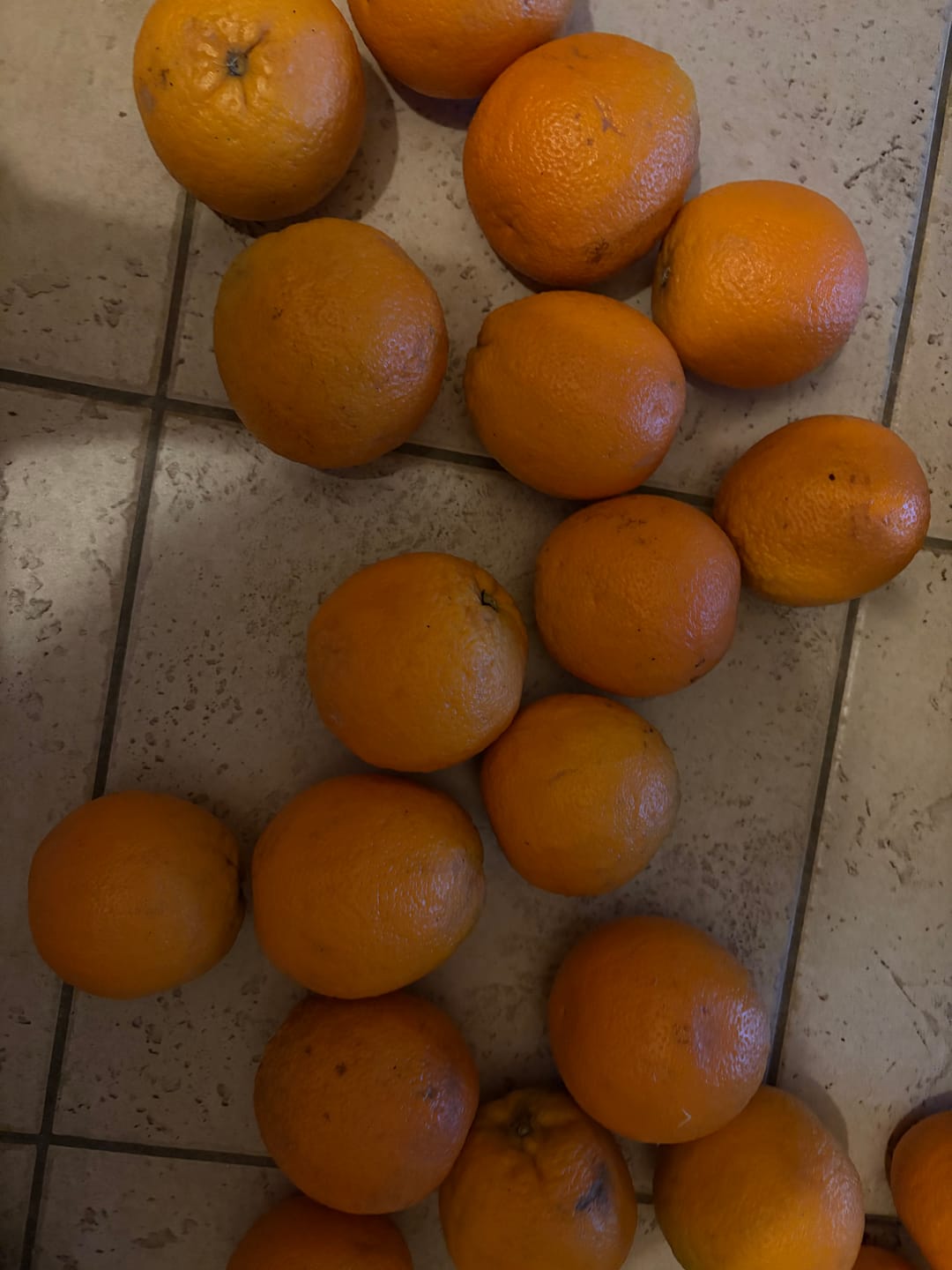 Customer photo review of Orangen Lane Late Bio von Apostolis Kreta 4kg Box