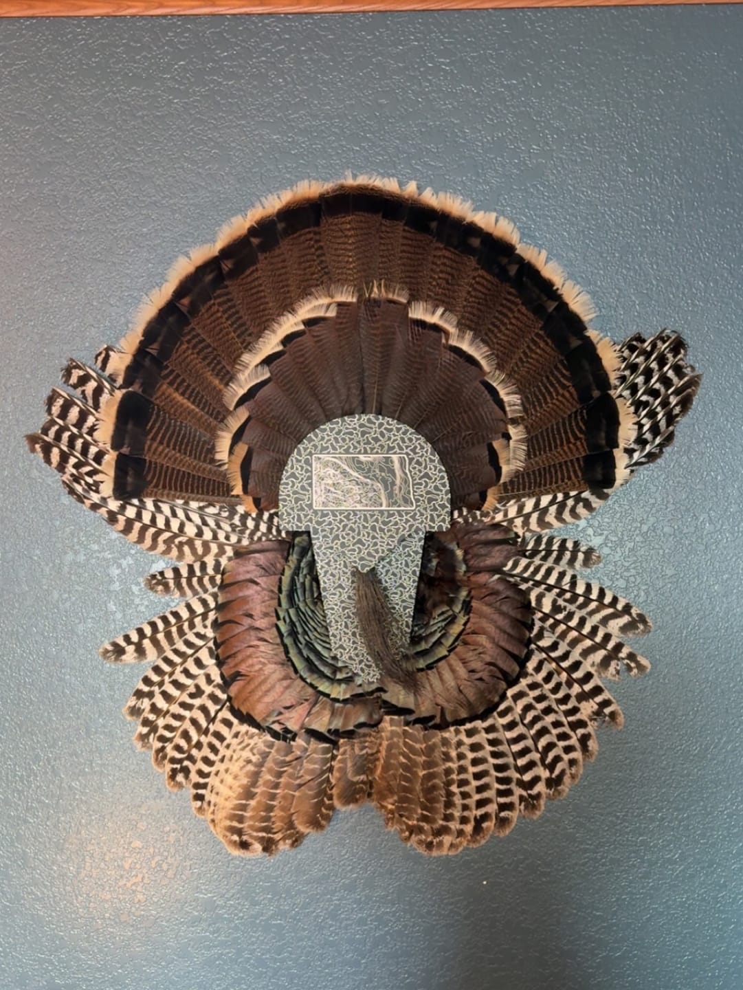 Customer photo review of FeatherLok | Turkey Mount