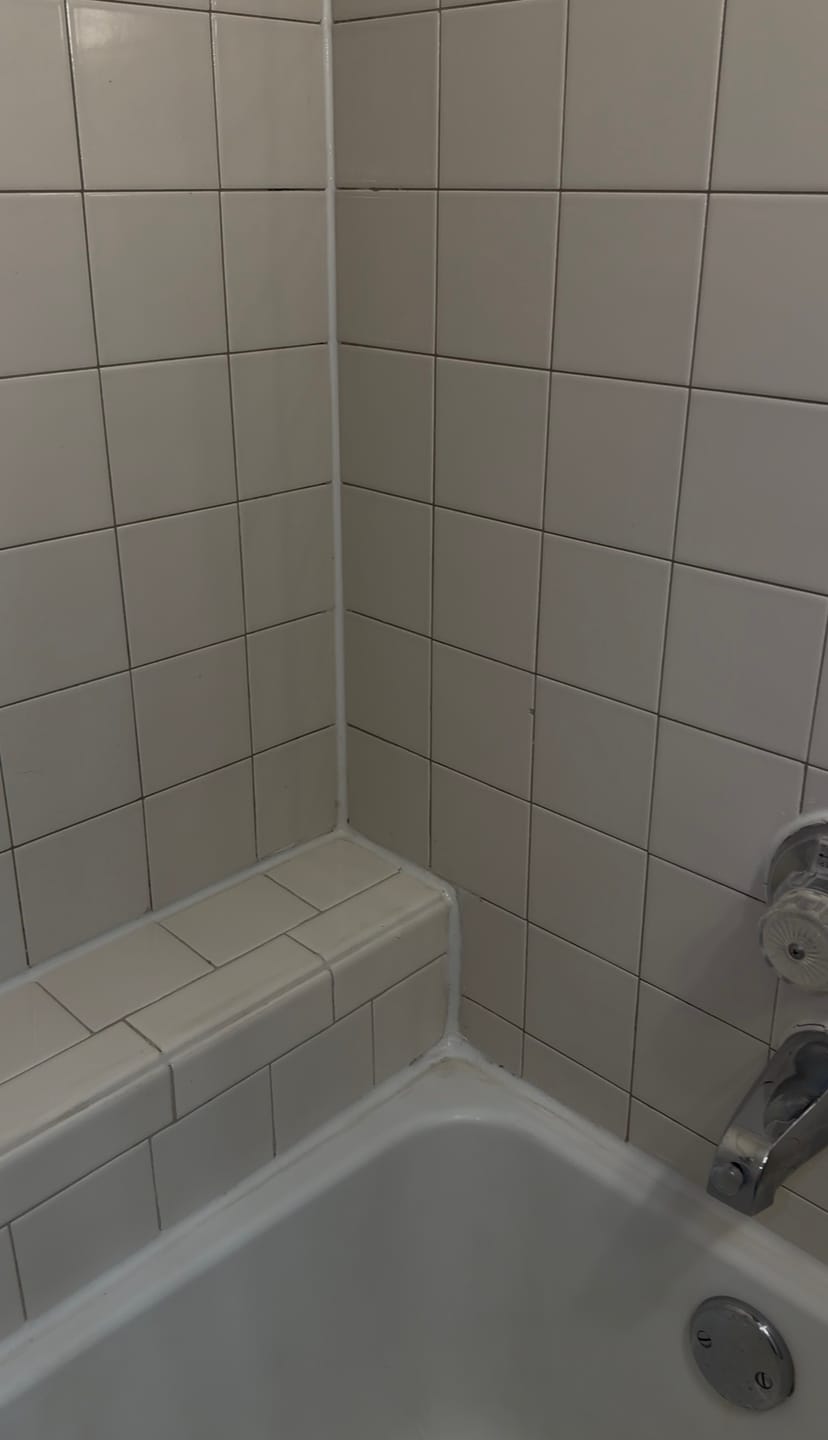Customer photo review of Bathroom Concentrate 4x