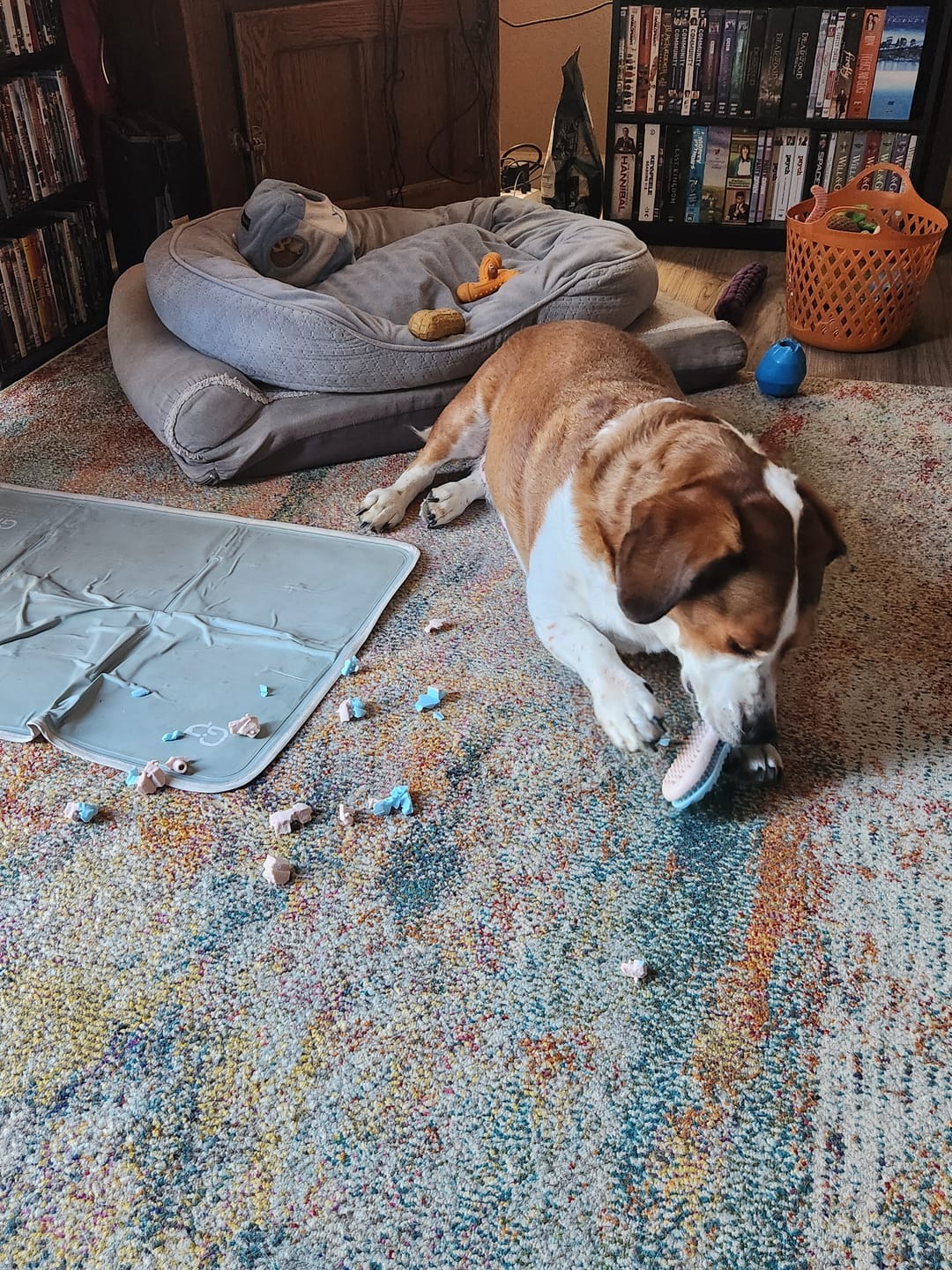 Customer photo review of Gnaw Guard Foam Toys