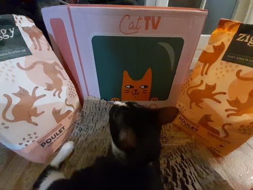 Avis d'un client : son chat noir et blanc devant deux sacs de croquettes au poulet et une boîte Cat TV.