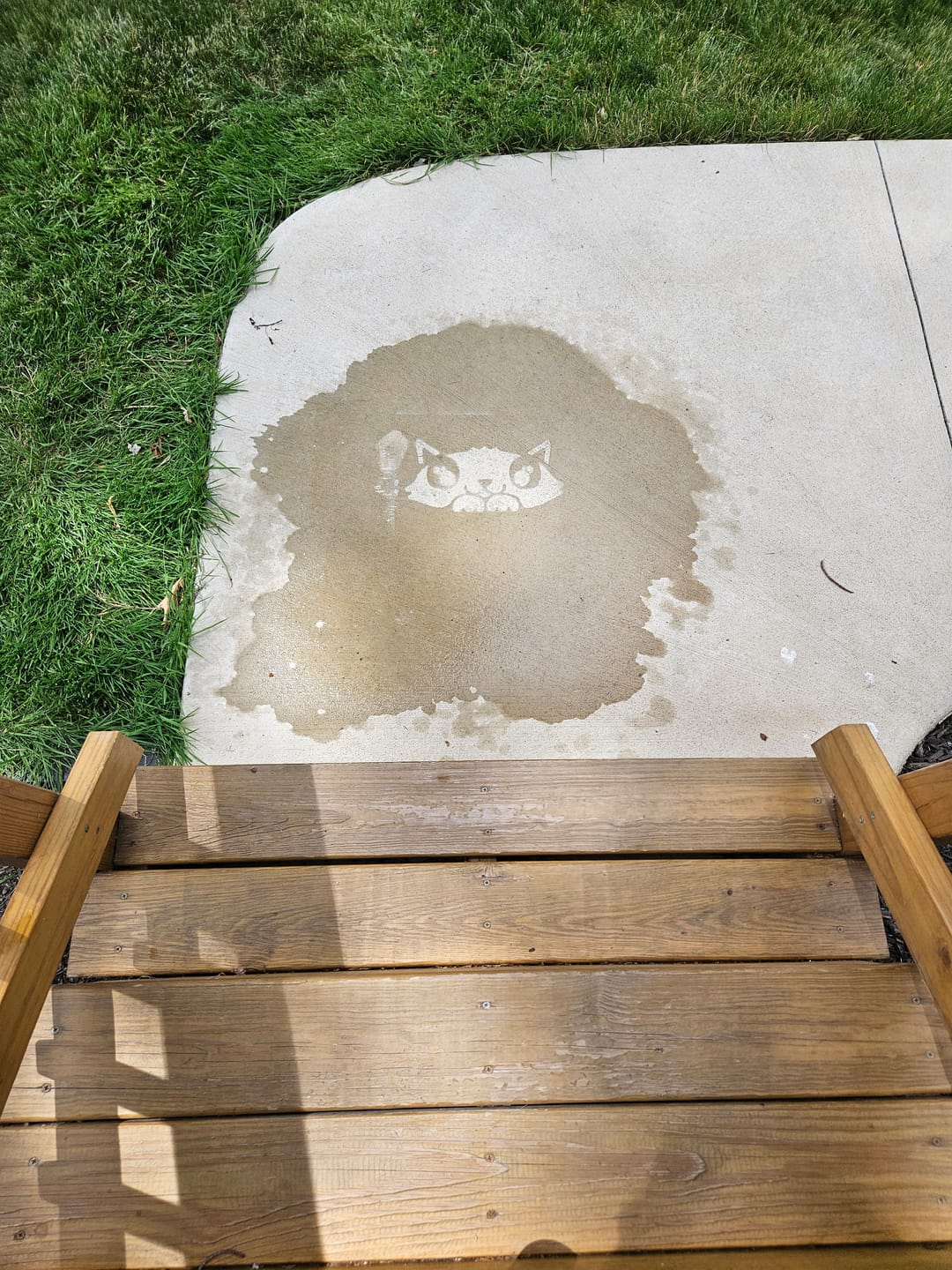 Customer photo review of Invisible Spray 2.0 Starter Kit (10-15 sq ft)