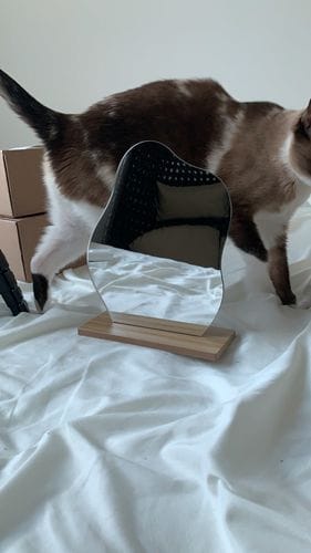 Customer photo review of Aura Minimalist Mirror