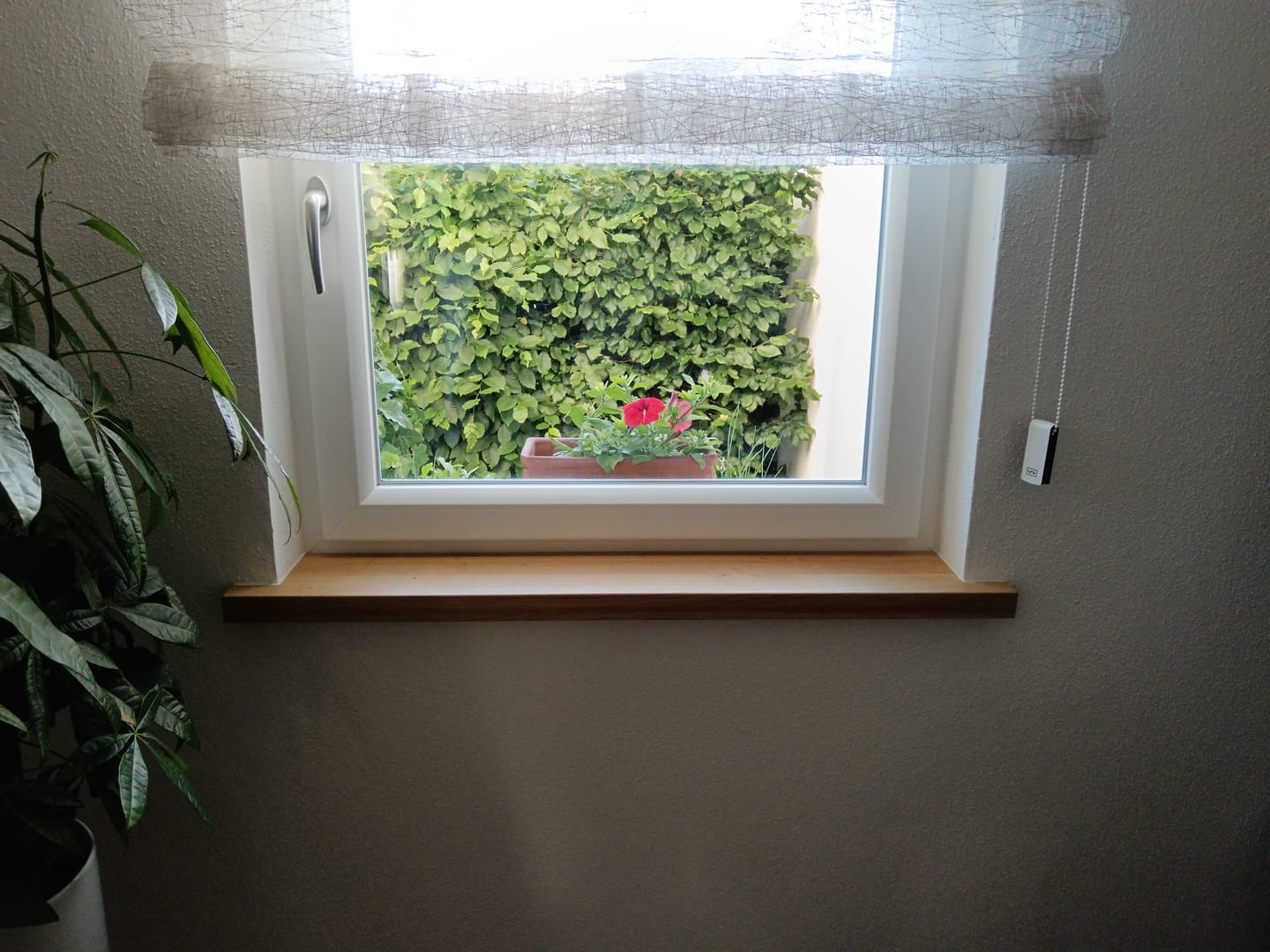 Customer photo review of Aufsatzfensterbank Eiche