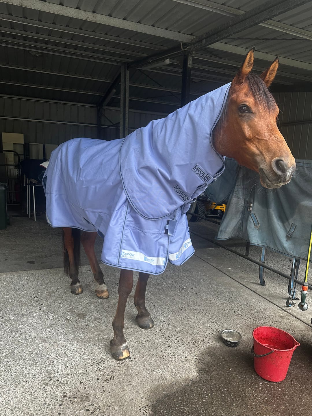 Customer photo review of LE Boxter Turnout Ripstop 50g